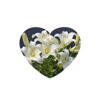 Phayah 4 ambientadores para coche, con diseño de lirios blancos, aroma a lavanda, en forma de corazón, para colgar, para tableta, armario, zapatos, clóset