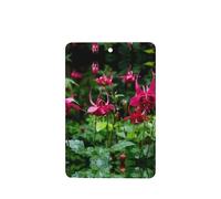 Phayah 4 ambientadores para coche, parche colgante de flores de cola de golondrina, tabletas de aroma de lavanda, fragancia de larga duración, tarjeta perfumada rectangular