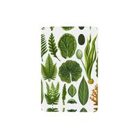 Phayah 4 ambientadores rectangulares para colgar en el coche, diseño de algas marinas, con aroma a lavanda y coral bajo el mar, para colgar en la tableta, armario, zapatos, clóset