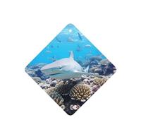 Phayah 6 ambientadores cuadrados para colgar en el coche, diseño de arrecife de coral, aroma a lavanda, para tableta, armario, zapatos, armario, 6 unidades