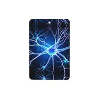Phayah 6 ambientadores de coche colgantes con extensiones de neuronas, patrón de lavanda, tabletas aromáticas de larga duración, tarjeta perfumada rectangular