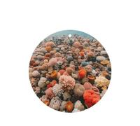 Phayah 6 ambientadores de coche con aroma a lavanda con patrón de coral submarino, forma redonda, para colgar, para tableta, armario, zapatos, clóset