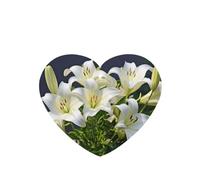Phayah 6 ambientadores de coche con diseño de lirios blancos con aroma a lavanda, en forma de corazón, para colgar, para tableta, armario, zapatos, clóset