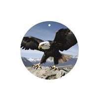 Phayah 6 ambientadores para coche, diseño de águila colgante con alas y aroma a lavanda, forma redonda