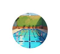 Phayah 6 ambientadores para coche, diseño de flamenco y piscina, aroma de lavanda, forma redonda, para colgar, para tableta, armario, zapatos, armario, fragancia