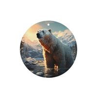 Phayah 6 ambientadores para coche, diseño de oso polar en invierno, con aroma a lavanda, pastillas aromáticas de larga duración, forma redonda