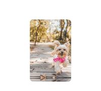 Phayah 6 ambientadores para coche, diseño de perro corriendo hacia ti, pastillas aromáticas de lavanda de larga duración con fragancia rectangular