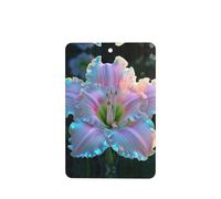 Phayah 6 ambientadores rectangulares para colgar en el coche, con diseño de lirio blanco, aroma a lavanda, para tableta, armario, zapatos, clóset