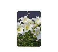 Phayah 6 ambientadores rectangulares para colgar en el coche, con diseño de lirios blancos, fragancia para colgar en el armario, zapatos, armario, etc