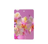 Phayah 6 ambientadores rectangulares para colgar en el coche, con diseño de orquídea y mariposa, color blanco