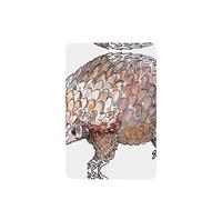 Phayah 6 ambientadores rectangulares para colgar en el coche, con diseño de pangolín, aroma a lavanda, para tableta, armario, zapatos, armario, 6 unidades