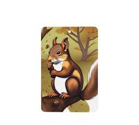 Phayah 6 ambientadores rectangulares para colgar en el coche, diseño de ardilla que come nueces, fragancia para colgar en el armario, zapatos, armario, etc