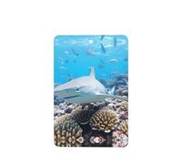 Phayah 6 ambientadores rectangulares para colgar en el coche, diseño de arrecife de coral, fragancia rectangular para colgar en el armario, zapatos, armario, 6 unidades