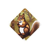 Phayah Ambientador cuadrado para coche, con aroma a ardilla que come nueces, 6 unidades, para cajones de armario de automóviles