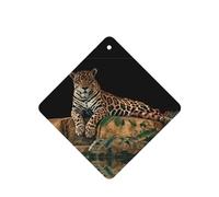 Phayah Ambientador cuadrado para coche, diseño de leopardo africano sobre roca, aroma a lavanda, tarjeta perfumada para colgar, 6 unidades para coches, armario, zapatos