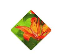 Phayah Ambientador cuadrado para coche, diseño de lirio de tigre, aroma a lavanda, tarjeta perfumada para colgar, 4 piezas para coches, armarios, zapatos