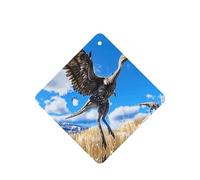 Phayah Ambientador cuadrado para coche, diseño de pájaro ancestro saltando con aroma a lavanda, tarjeta perfumada colgante, 6 piezas para cajones de armario de automóviles