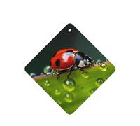 Phayah Ambientador cuadrado para colgar en el interior del coche, con diseño de mariquita de siete estrellas, aroma de lavanda, 4 unidades