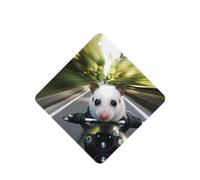 Phayah Ambientador de coche con aroma a lavanda con diseño de animal Riding A Car con tarjeta cuadrada para colgar, tarjeta perfumada para colgar, 4 piezas para coches, armario, cajón, eliminar