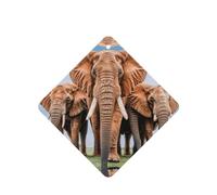 Phayah Ambientador de coche con aroma a lavanda con diseño de elefante africano, tarjeta cuadrada para colgar, tarjeta perfumada para colgar, 6 piezas para cajones de armario de automóviles