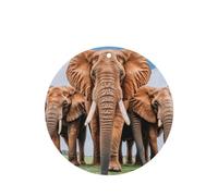 Phayah Ambientador de coche con aroma a lavanda con diseño de elefante africano, tarjeta de forma redonda, para colgar, tarjeta perfumada, 6 unidades, para cajones de armario de automóviles