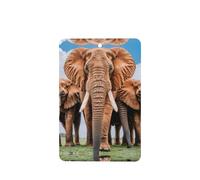 Phayah Ambientador de coche con aroma a lavanda con diseño de elefante africano, tarjeta rectangular para colgar, tarjeta perfumada para colgar, 6 piezas para cajones de armario de automóviles