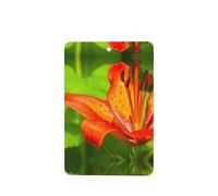Phayah Ambientador de coche con aroma a lavanda con diseño de lirio de tigre, tarjeta rectangular para colgar, tarjeta perfumada para colgar, 4 piezas para coches, armarios, zapatos