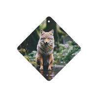 Phayah Ambientador de coche con aroma a lavanda con diseño de lobo después de la lluvia, tarjeta cuadrada para colgar, tarjeta perfumada para colgar, 4 piezas para cajones de armario de automóviles