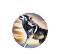 Phayah Ambientador de coche con aroma a lavanda con diseño de lobo que crece en el cielo, tarjeta con forma redonda, para colgar, 6 piezas para coches, armario, zapatos