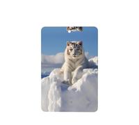Phayah Ambientador de coche con aroma a lavanda con diseño de tigre blanco de montaña nevada, tarjeta rectangular para colgar, tarjeta perfumada para colgar, 4 piezas para coches, armarios, zapatos