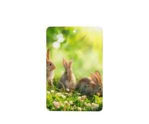 Phayah Ambientador de coche con aroma a lavanda con divertido patrón de conejos, tarjeta rectangular para colgar, tarjeta perfumada para colgar, 6 piezas para coche, armario, cajón, eliminar