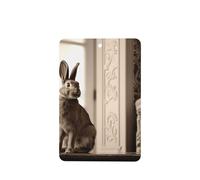 Phayah Ambientador de coche con aroma a lavanda Heads-Up de conejo, tarjeta rectangular para colgar, tarjeta perfumada para colgar, 6 piezas para coches, armarios, zapatos