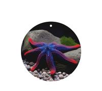 Phayah Ambientador de coche con diseño de estrella de mar de tentáculo rojo, aroma a lavanda, tarjeta de forma redonda, para colgar, tarjeta perfumada, 6 unidades, para cajones de armario de