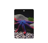 Phayah Ambientador de coche con diseño de estrella de mar de tentáculo rojo con aroma a lavanda, tarjeta rectangular para colgar, tarjeta perfumada colgante, 4 piezas para cajones de armario de