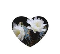 Phayah Ambientador de coche con diseño de flores de cactus y lavanda, tarjeta con forma de corazón para colgar, tarjeta perfumada para colgar, 4 piezas para cajones de armario de automóviles