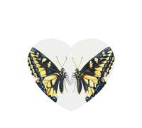 Phayah Ambientador de coche con diseño de mariposa con cresta de pico, aroma de lavanda, tarjeta con forma de corazón, tarjeta perfumada colgante, 4 piezas para coche, armario, cajón, eliminar