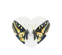 Phayah Ambientador de coche con diseño de mariposa con cresta de pico, aroma de lavanda, tarjeta con forma de corazón, tarjeta perfumada colgante, 6 piezas para coche, armario, cajón, eliminar