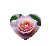 Phayah Ambientador de fragancia para colgar en el interior del coche, con forma de corazón, con delicado patrón de rosas, aroma de lavanda, 4 unidades