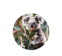 Phayah Ambientador de fragancia para el interior del coche, con diseño de koala, de dibujos animados, aroma de lavanda, forma redonda, para colgar, 6 unidades