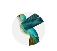Phayah Ambientador para coche, diseño de colibrí, aroma a lavanda, tarjeta de forma redonda, para colgar, tarjeta perfumada, 4 unidades, para coche, armario, cajón, eliminar