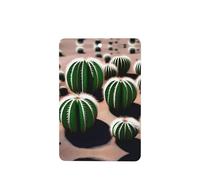 Phayah Ambientador rectangular con aroma a lavanda con diseño de bolas de hadas para colgar en el interior del coche, 4 unidades