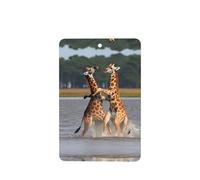 Phayah Ambientador rectangular para coche, diseño de dos jirafas, con aroma a lavanda, 6 unidades, para colgar en el armario y cajón