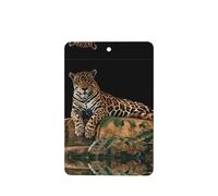 Phayah Ambientador rectangular para coche, diseño de leopardo africano sobre roca, aroma a lavanda, tarjeta perfumada para colgar, 4 unidades, para coche, armario, zapatos