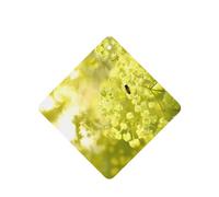 Phayah Ambientadores cuadrados para coche, 6 unidades, diseño de abeja para coleccionar miel, tabletas de aromaterapia automáticas, tarjeta perfumada para colgar, aroma a lavanda