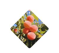 Phayah Ambientadores cuadrados para coche, 6 unidades, diseño de cosecha de albaricoque, tabletas de aromaterapia automáticas, tarjeta perfumada para colgar, aroma a lavanda