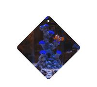 Phayah Ambientadores cuadrados para coche, 6 unidades, diseño de pez payaso por The Reef, tarjeta perfumada para colgar, con aroma a lavanda