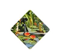 Phayah Ambientadores cuadrados para colgar en el coche, con diseño de dos ranas, con aroma a lavanda, para colgar en la tableta, armario, zapatos, armario, 4 unidades