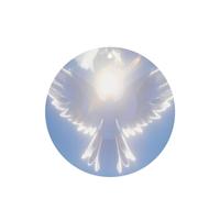 Phayah Ambientadores de coche de forma redonda, 6 unidades, diseño de pájaro frente al sol, tabletas de aromaterapia automáticas, tarjeta perfumada para colgar, aroma a lavanda