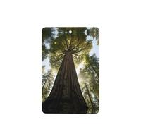 Phayah Ambientadores rectangulares para coche, 4 unidades, con patrón de árbol viejo, tabletas de aromaterapia, tarjeta perfumada colgante, aroma a lavanda