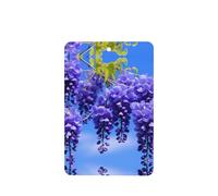 Phayah Ambientadores rectangulares para coche, 4 unidades, con patrón de azucenas moradas, tabletas de aromaterapia, tarjeta perfumada para colgar, aroma a lavanda